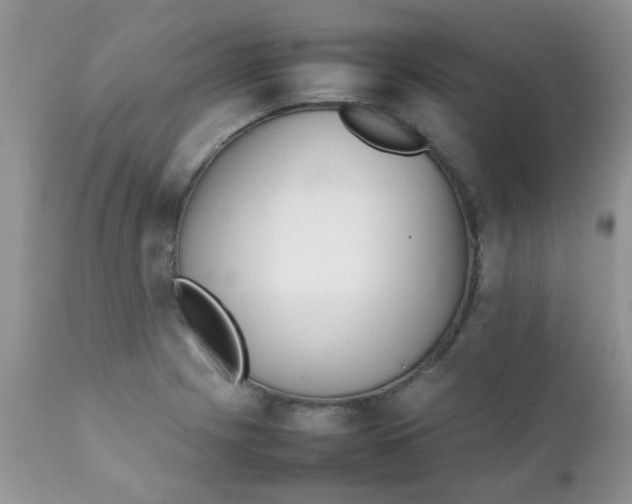 X0000111901225200908171231