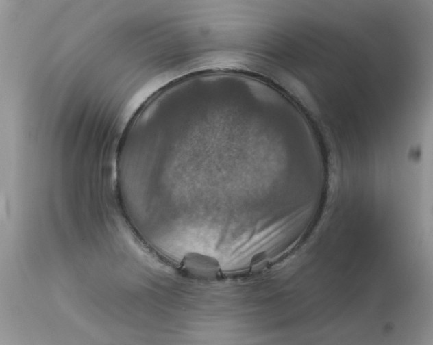 X0000111901226200908171231