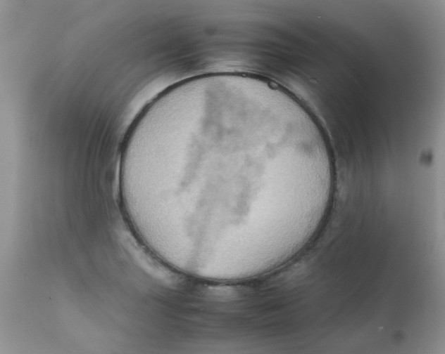 X0000111901227200908171231