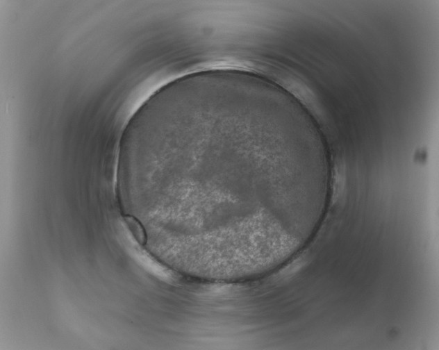 X0000111901228200908171231