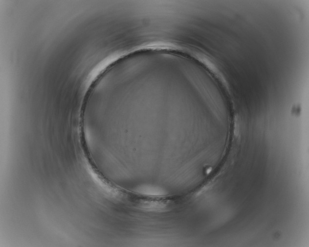 X0000111901229200908171231