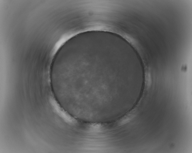 X0000111901230200908171231