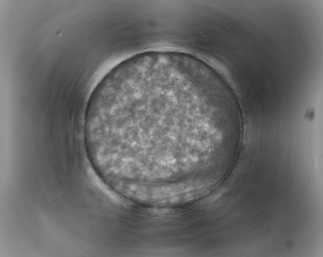 X0000111901231200908171231