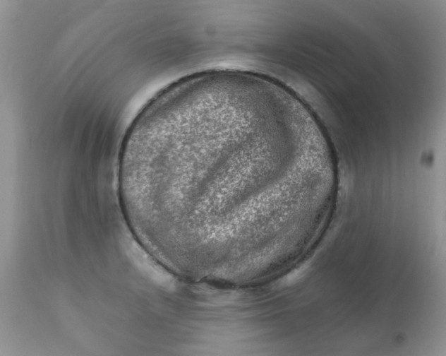 X0000111901232200908171231