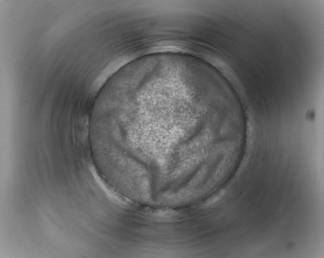 X0000111901233200908171231