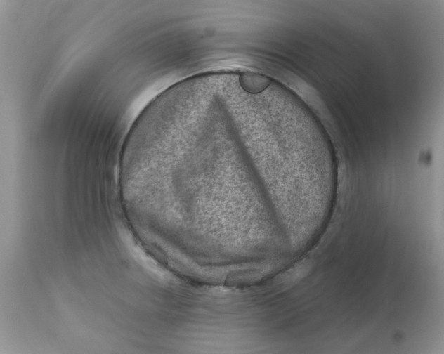 X0000111901234200908171231