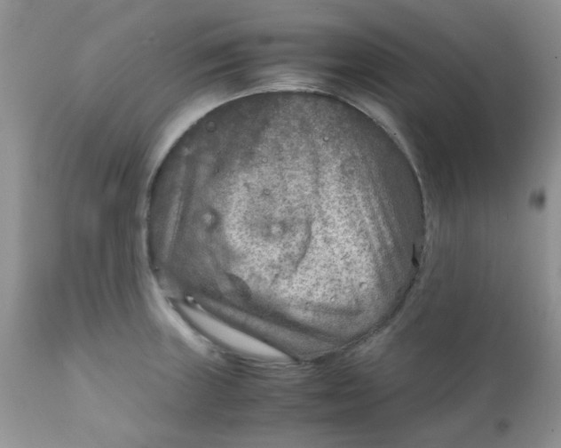 X0000111901235200908171231