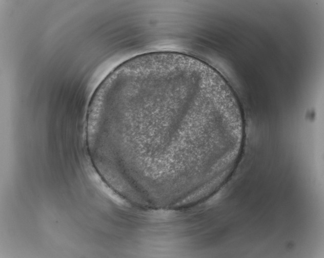 X0000111901236200908171231