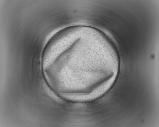 X0000111901238200908171231