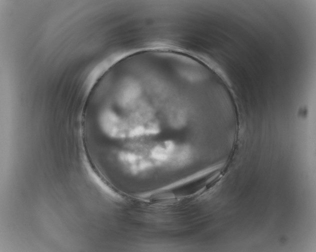 X0000111901239200908171231