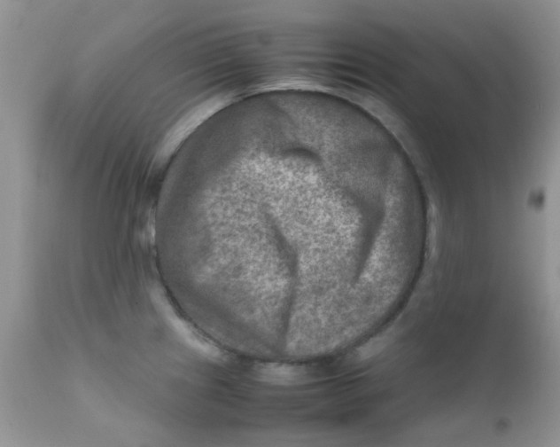 X0000111901241200908171231