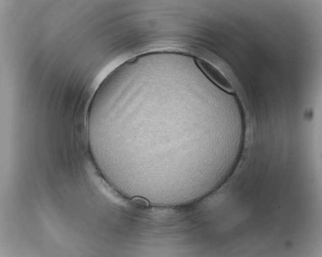 X0000111901242200908171231