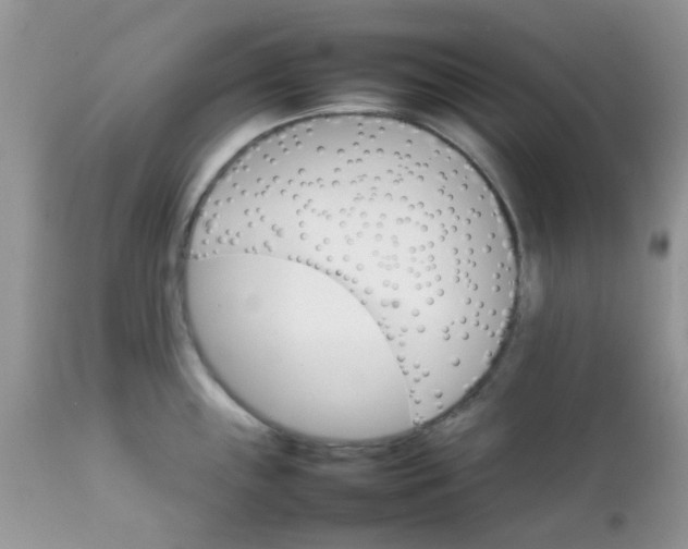 X0000111901243200908171231