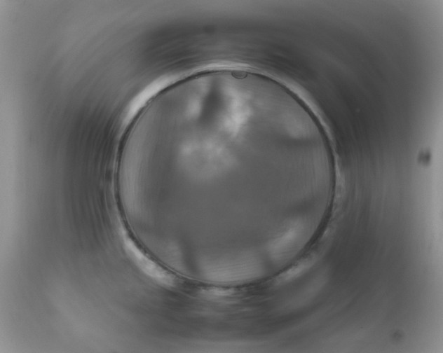 X0000111901245200908171231