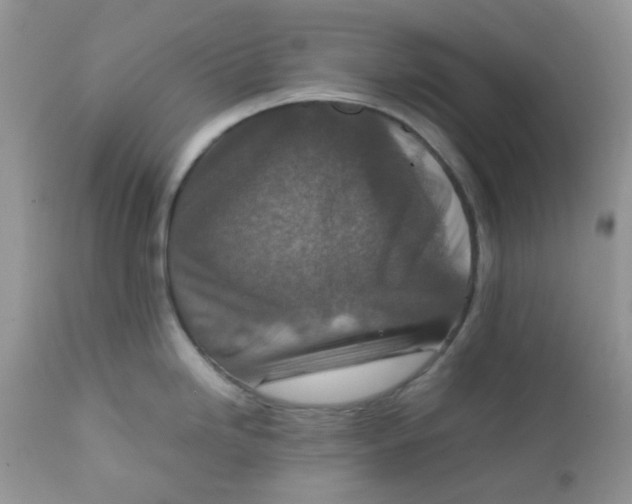 X0000111901246200908171231