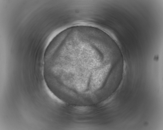 X0000111901247200908171231