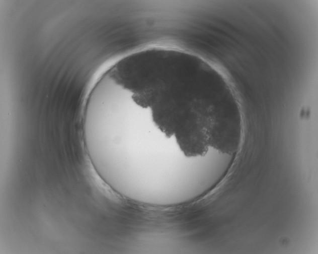 X0000111901248200908171231