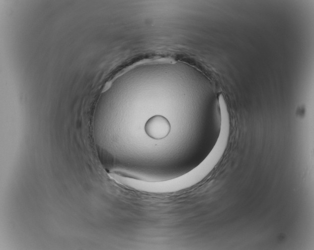 X0000111901249200908171230