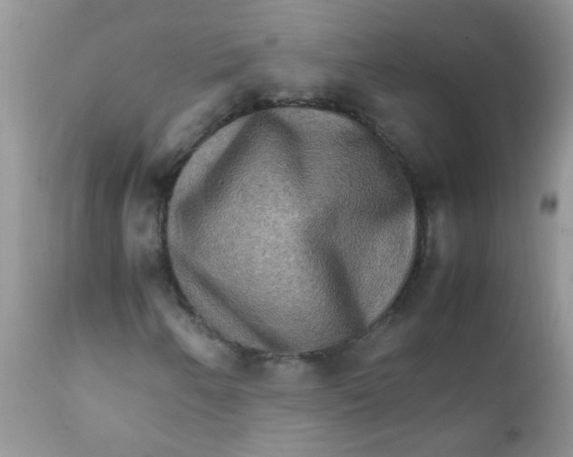 X0000111901250200908171230