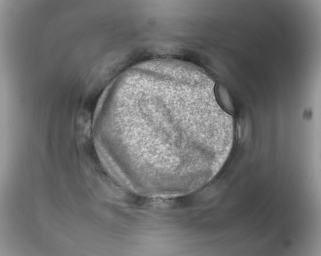 X0000111901251200908171230