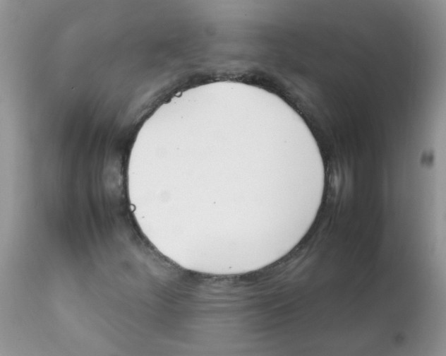 X0000111901252200908171230