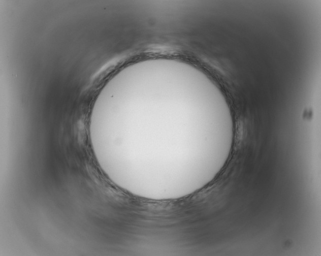 X0000111901254200908171230