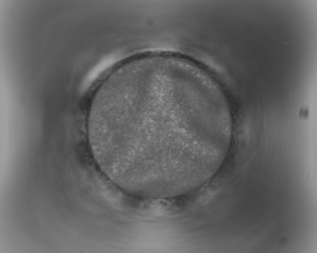 X0000111901255200908171230