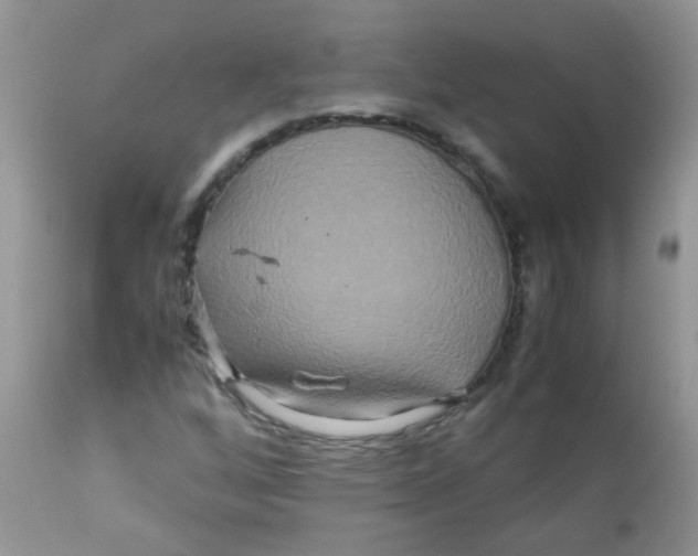 X0000111901256200908171230