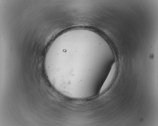 X0000111901257200908171230