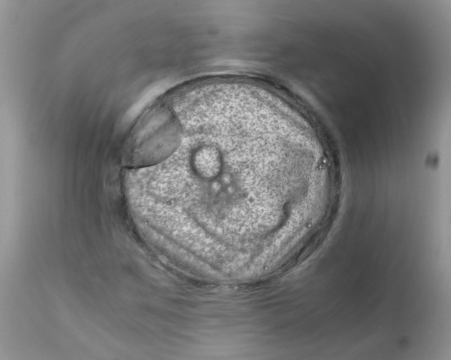 X0000111901259200908171230