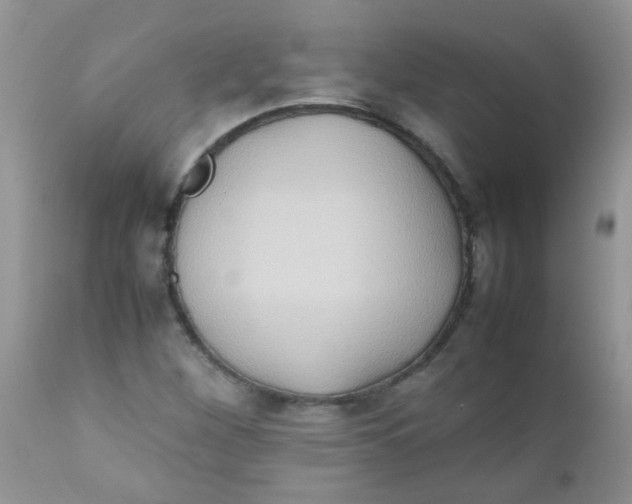 X0000111901260200908171230