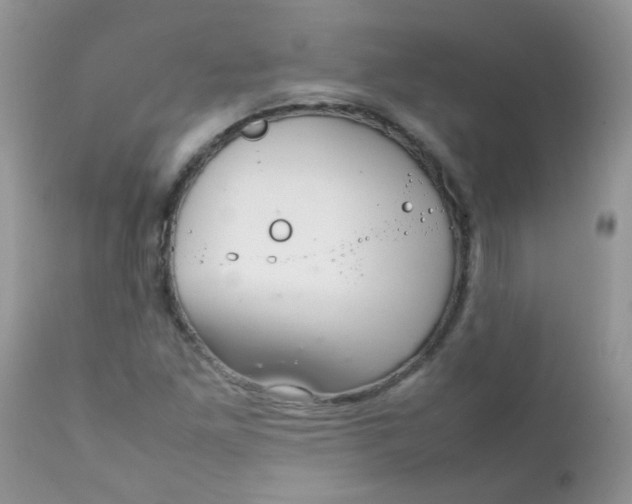 X0000111901261200908171230