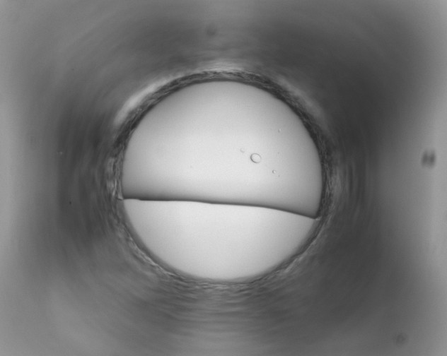 X0000111901262200908171230