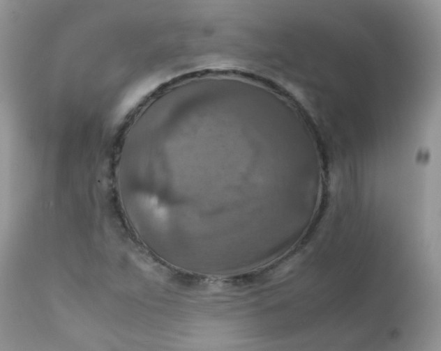 X0000111901263200908171230