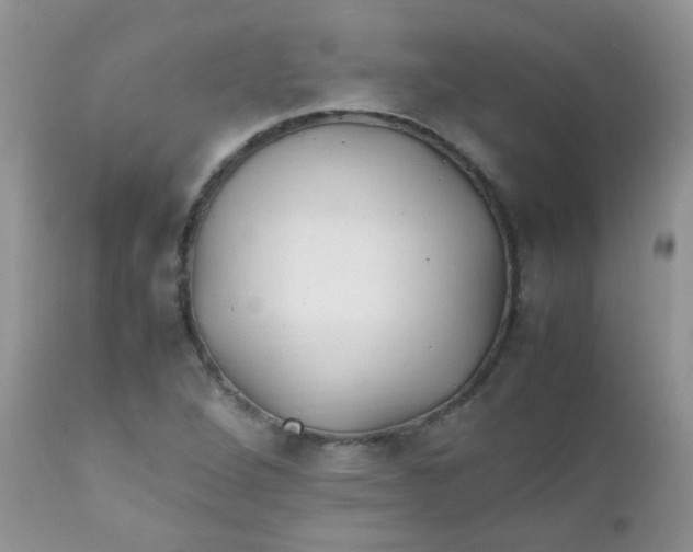 X0000111901264200908171230