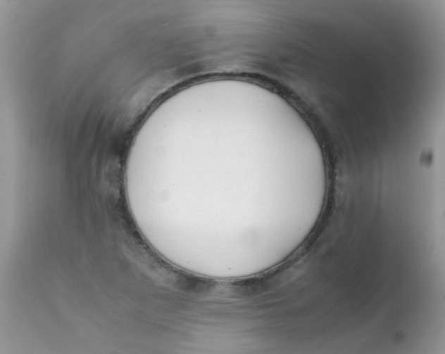 X0000111901265200908171230