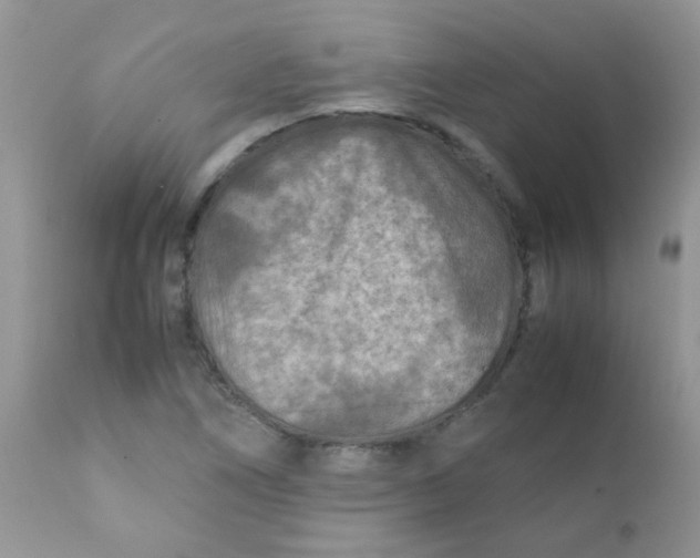 X0000111901266200908171230