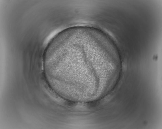 X0000111901267200908171230