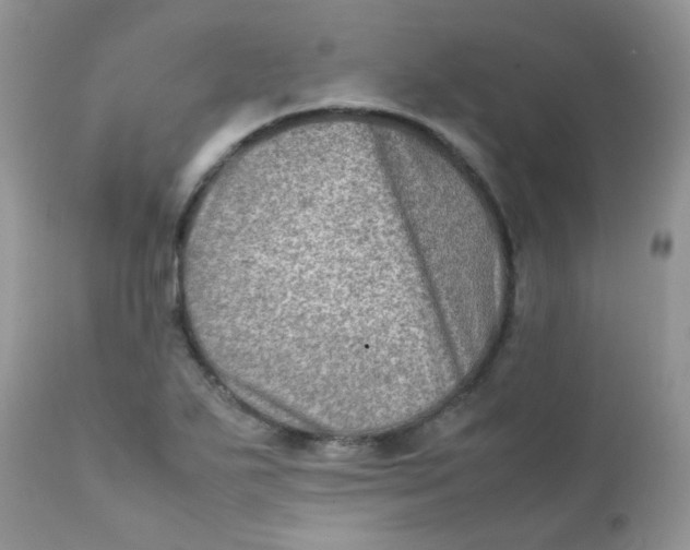 X0000111901271200908171230