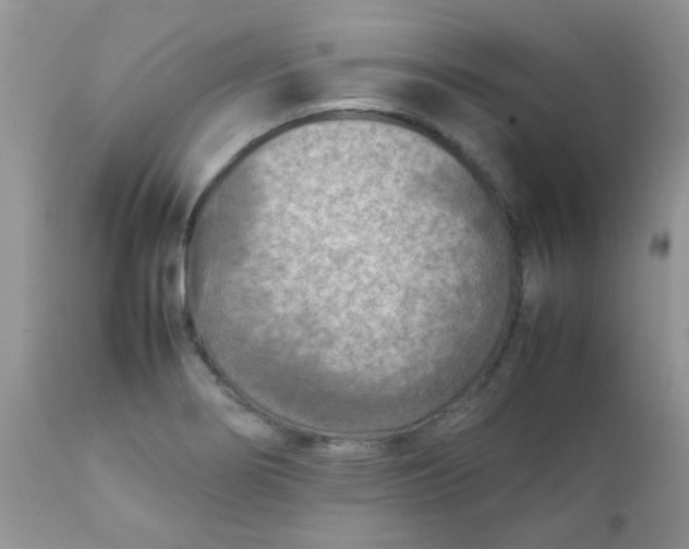 X0000111901274200908171230