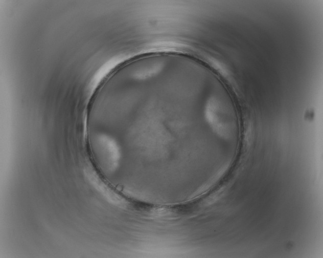 X0000111901275200908171230