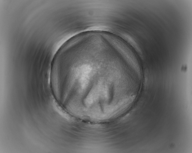 X0000111901276200908171230