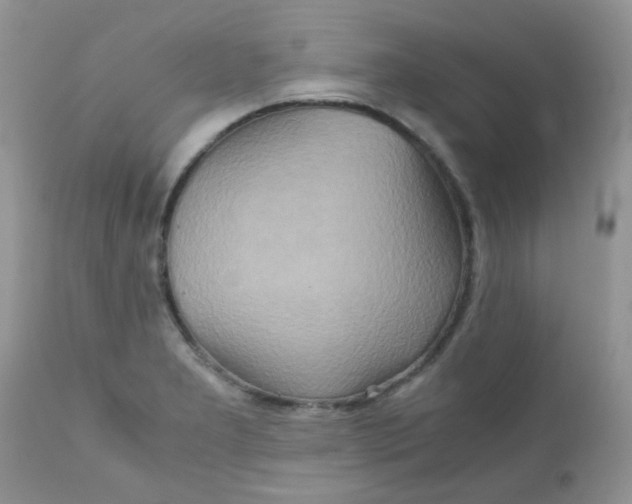 X0000111901277200908171230