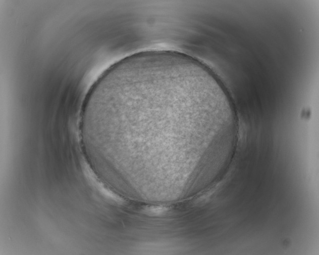 X0000111901278200908171230