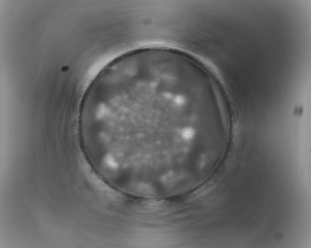 X0000111901279200908171230