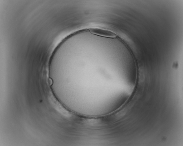 X0000111901280200908171230