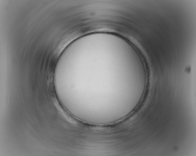 X0000111901281200908171230