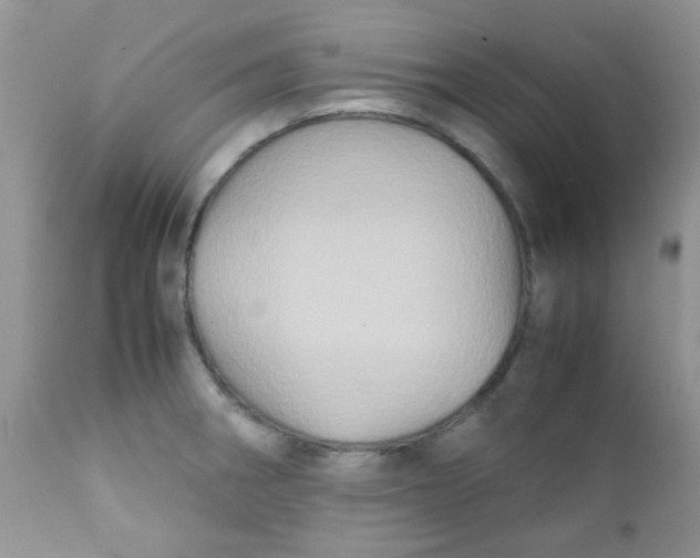 X0000111901282200908171230