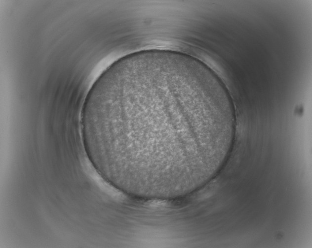 X0000111901283200908171230