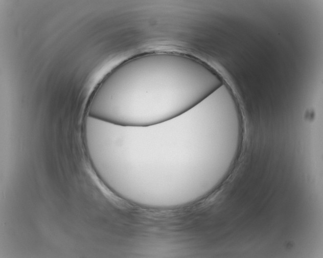 X0000111901285200908171230